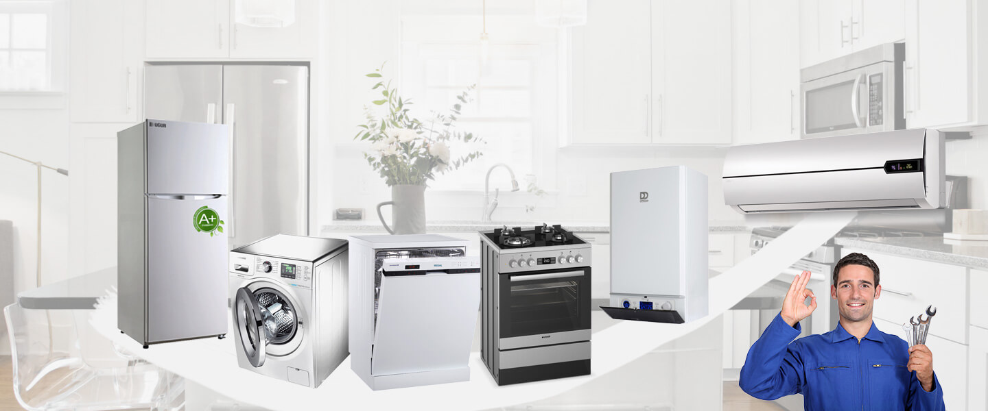 Başçiftlik Vaillant Servisi